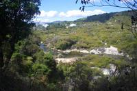 Thermalgebiet Te Puia in Rotorua (Puarenga Bach)