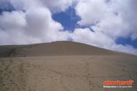 Sanddünen in der Nähe des Ninety Mile Beach