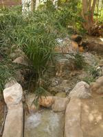 Bait Al Zubair Museum in Muscat