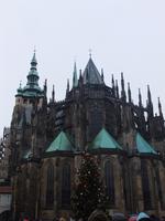 der gewaltige Dom in seiner ganzen Pracht