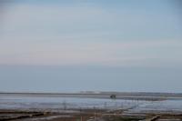 Wattenmeer