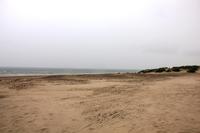 Henne Strand