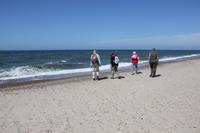 auf der Suche nach Bernstein