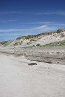Strand bei Lyngvig Fyr Leuchtturm