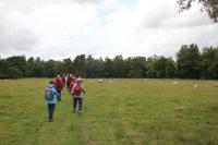 Wanderung bei Hald Ege