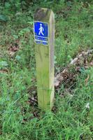 der Heerweg