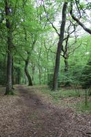 Blick entlang des Heerweges