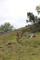 Wanderung am Hald See