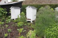 Bienen Bienen Bienen (Den Gamle By)