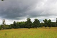Gewitterwolken oder blauer Himmel