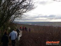 Vogelsberg Über der Mainschleife