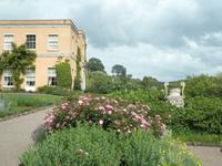 Killerton House