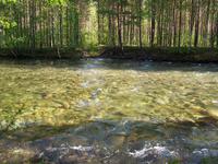 Storjord- Saltfjell-Svartisen NP