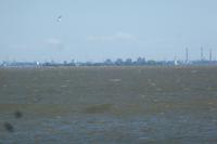 Blick auf St.Petersburg