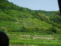 Wachau