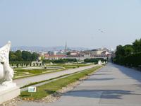 Blick auf die Altstadt Wiens