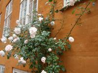 Spaziergang in Kopenhagen