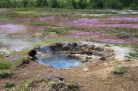 Hochtemperaturgebiet Haukadalur