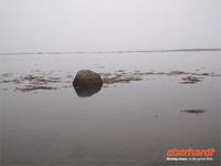 An der Südspitze Ölands