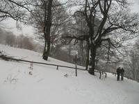 Auf dem Schauinsland