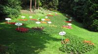 aus Blumen und Pflanzen, der Bodensee