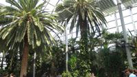 Im Palmenhaus