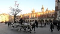 Krakau - Kutsche vor den Tuchhallen