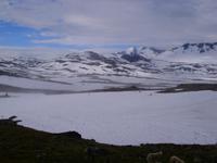 Gletscher im Sognefjell
