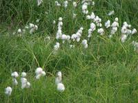 Halbinsel Reykjanes (13)