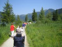 Wanderung um den Walchsee