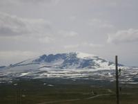 Fahrt über das Dovrefjell