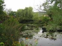 Seerosenteich