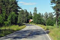 An den Ufern des Pyhäjänne im gleichnamigen Nationalpark (Im Herzen der finnsichen Seenplatte)