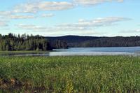 An den Ufern des Pyhäjänne im gleichnamigen Nationalpark (Im Herzen der finnsichen Seenplatte)