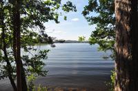 An den Ufern des Pyhäjänne im gleichnamigen Nationalpark (Im Herzen der finnsichen Seenplatte)