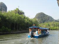 Mangroven-Tour auf Langkawi