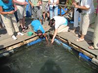 Beim Rochen füttern