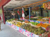 Obststand auf Langkawi