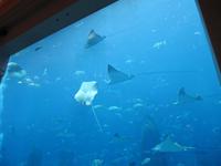 Im Hotel Atlantis