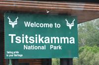 Im Tsitsikamma Nationalpark