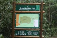 Wanderung zum Gelbholzbaum