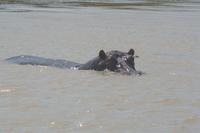 Wir werden beobachtet