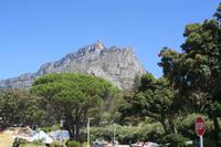 Auf dem Weg zum Tafelberg