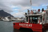 Bootsfahrt nach Seal Island