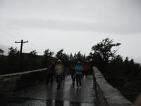 Weak Bridge