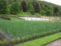 Balmoral Castle