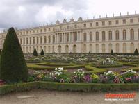 Blumen blühen in Versailles