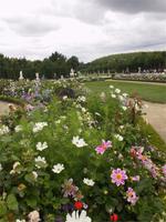 Versailles ein Blumenmeer
