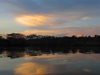 Große Lagune im Cuyabeno-Nationalpark