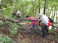Hindernis am Ourtal